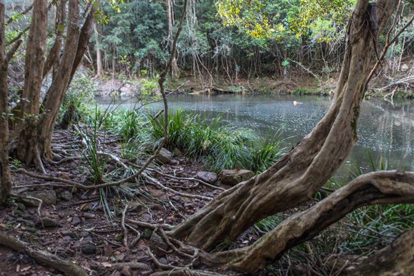 Clarrie Hall Dam (1/11/2018)