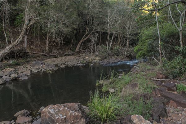 Clarrie Hall Dam (1/11/2018)
