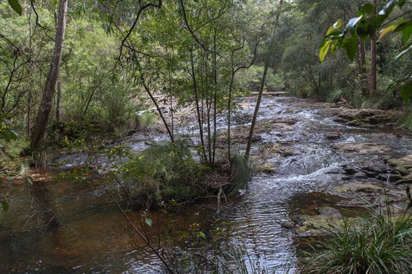 Minyon Falls - Nightcap National Park (1/11/2018)