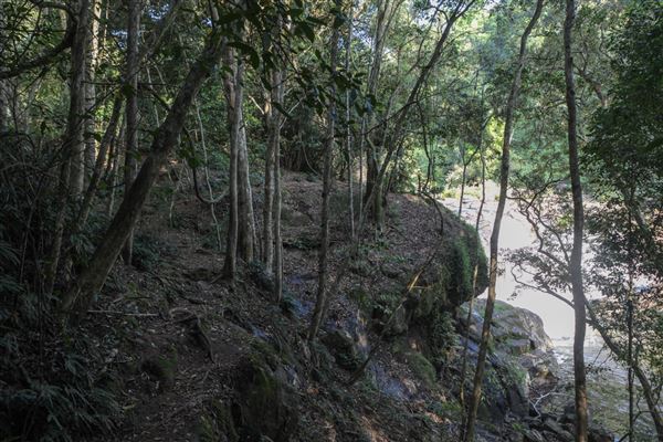 Whian Whian Falls (1/11/2018)