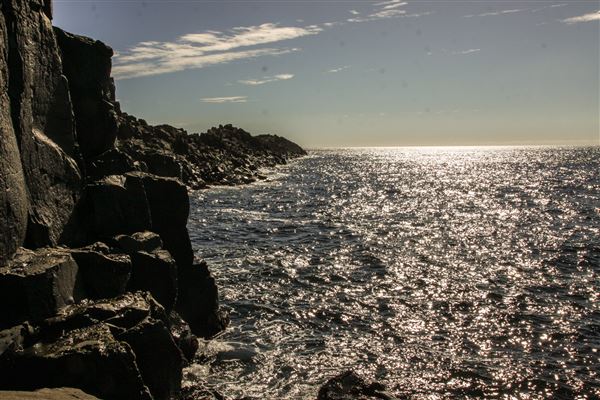 Bombo Headland Quarry (30/10/2018 - Credits: Chris Reynolds)
