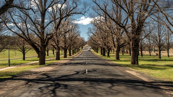 Armidale (20/09/2018 - Credits: Colin McDougall)