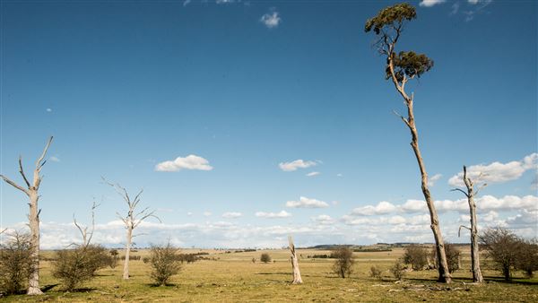 Armidale (20/09/2018 - Credits: Colin McDougall)