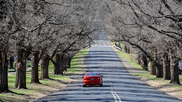 Armidale (20/09/2018 - Credits: Colin McDougall)