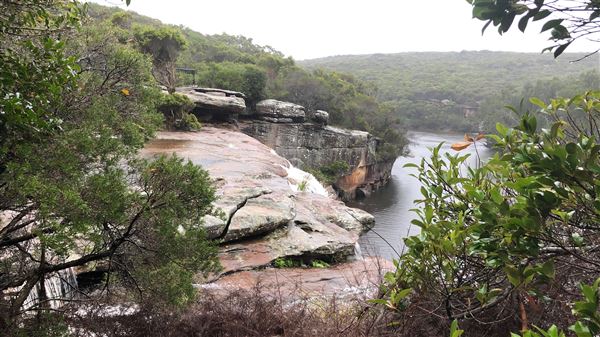 Wattamolla Beach (17/03/2019 - Credits: Shannon Wheeler)