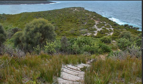 Munmorah State Conservation Area - Snapper Pt and Bongon Beach (14/06/2018 - Credits: N/A)