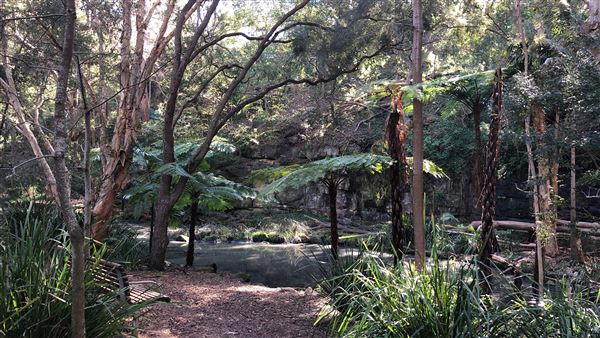 Trumper Park (24/08/2019 - Credits: Shannon Wheeler)