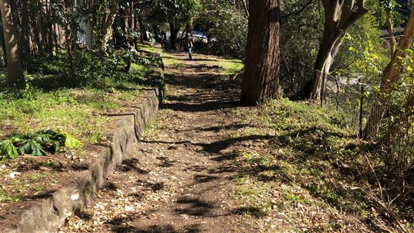 Trumper Park (24/08/2019 - Credits: Shannon Wheeler)