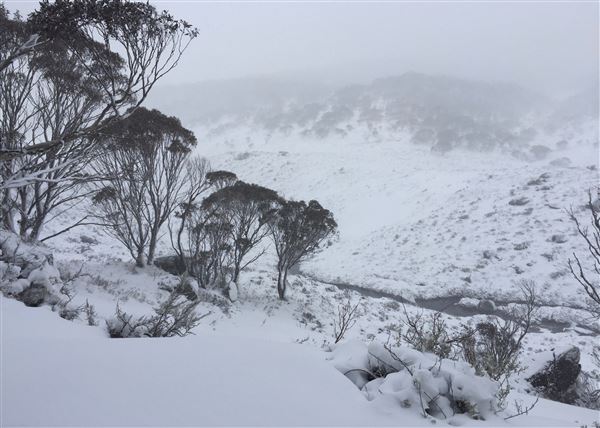 Dead Horse Gap (26/08/2016 - Credits: Matt Carroll)