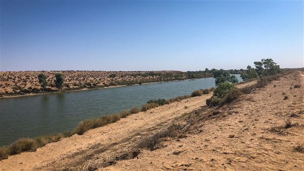 Weir Channel - Menindee (2/03/2019 - Credits: Colin McDougall)