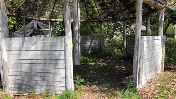 Otford Farm - Paintball Property (19/11/2019 - Credits: Screen NSW)