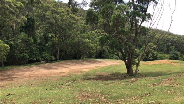 Otford Farm - The Pines Paddock with Jungle Gully (19/11/2019 - Credits: Screen NSW)