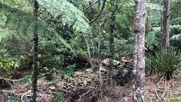 Otford Farm - The Pines Paddock with Jungle Gully (19/11/2019 - Credits: Screen NSW)