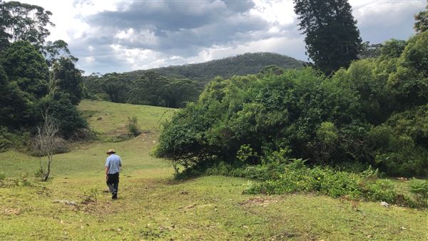 Otford Farm - The Pines Paddock with Jungle Gully (19/11/2019 - Credits: Screen NSW)