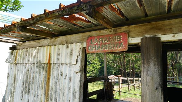 Otford Farm - Horse Farm (19/11/2019 - Credits: Screen NSW)