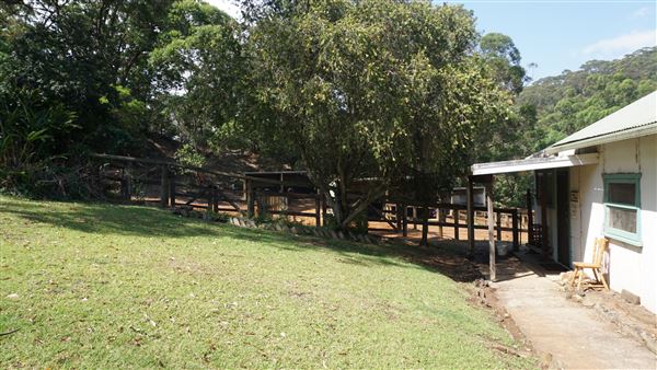 Otford Farm - Horse Farm (19/11/2019 - Credits: Screen NSW)