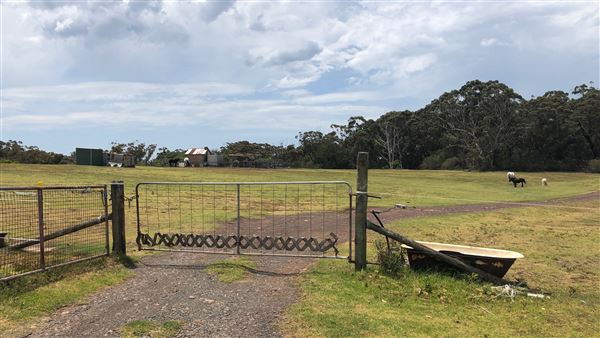 Otford Farm - Crazy T Farm (19/11/2019 - Credits: Screen NSW)