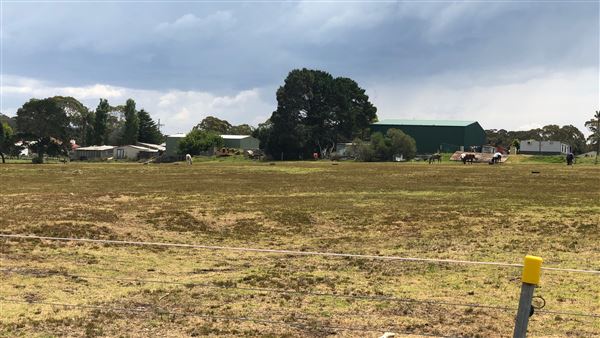 Otford Farm - Crazy T Farm (19/11/2019 - Credits: Screen NSW)