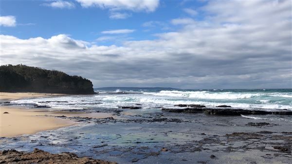 Berrara Beaches (7/07/2020 - Credits: Shannon Wheeler)