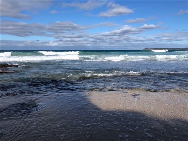 Berrara Beaches (7/07/2020 - Credits: Shannon Wheeler)