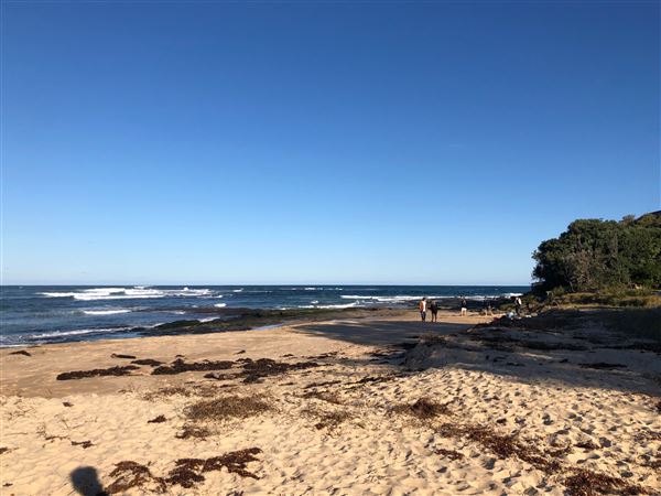 Berrara Beaches (7/07/2020 - Credits: Shannon Wheeler)