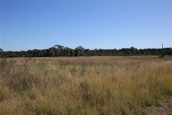 Bungarribee Park  - Western Sydney Parklands (16/06/2020 - Credits: Lisa Scope)