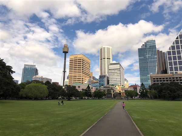 The Domain - Royal Botanic Garden Sydney (30/10/2020 - Credits: Shannon Wheeler)