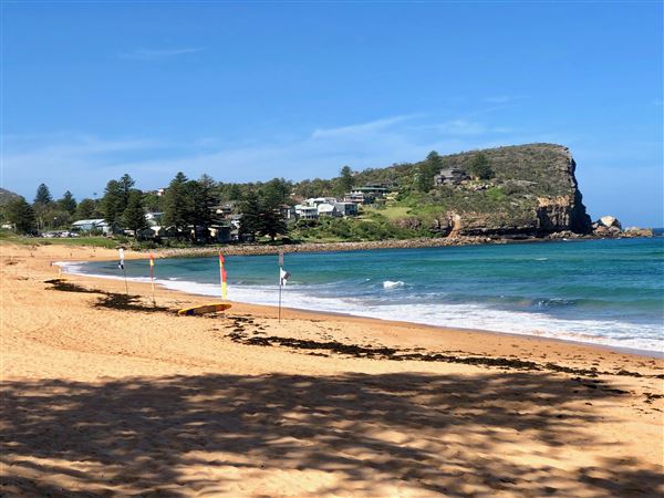 Avalon Beach (19/11/2020 - Credits: Cheryl Conway)