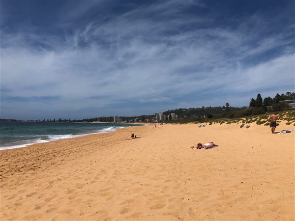 Narrabeen & North Narrabeen - Beaches & Lakes (20/11/2020 - Credits: Shannon Wheeler)