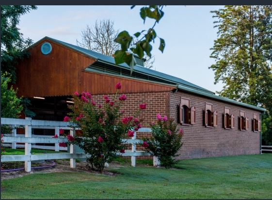 Private Horse Stud - Agnes Banks (15/10/2020)