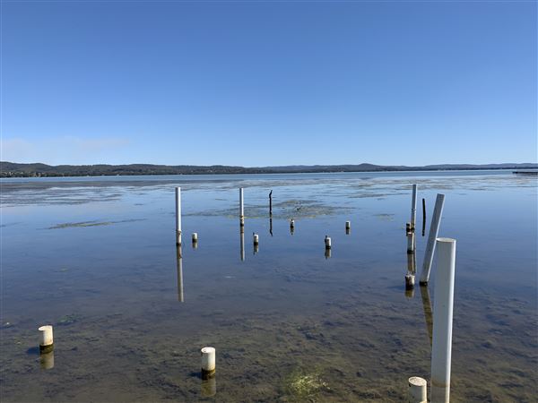 Watkins Jetty Long Jetty (10/10/2020 - Credits: Screen NSW Mechele Axford)
