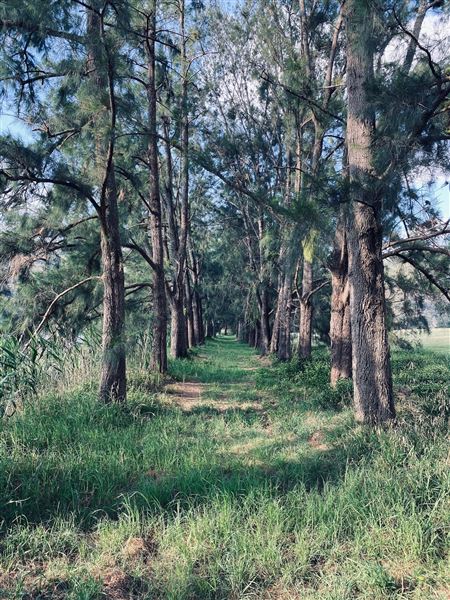 Berry Hill (4/01/2021)