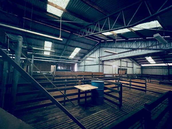 Tobruk Sheep Station - Shearing Shed & Event Venue - These photos were taken at the end of summer however, it was an unusually overcast yet bright day. (23/02/2021 - Credits: Cheryl Conway)