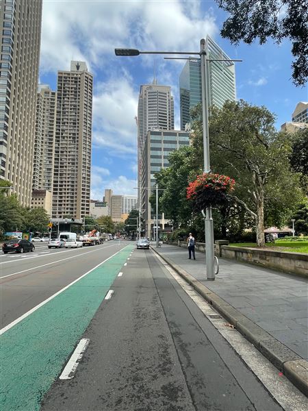 Park, Elizabeth & Liverpool Streets near Hyde Park (2/03/2021 - Credits: Cheryl Conway)