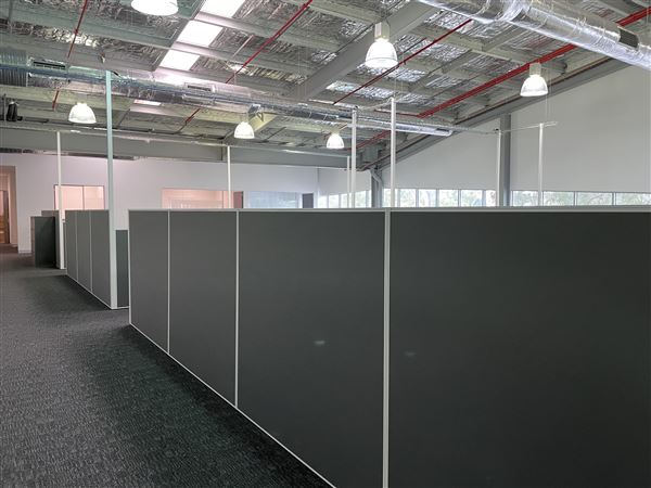 Open Plan Office space Lidcombe (networked) -  Short term leases available up until end of 2022 (8/03/2021 - Credits: Screen NSW Mechele Axford)