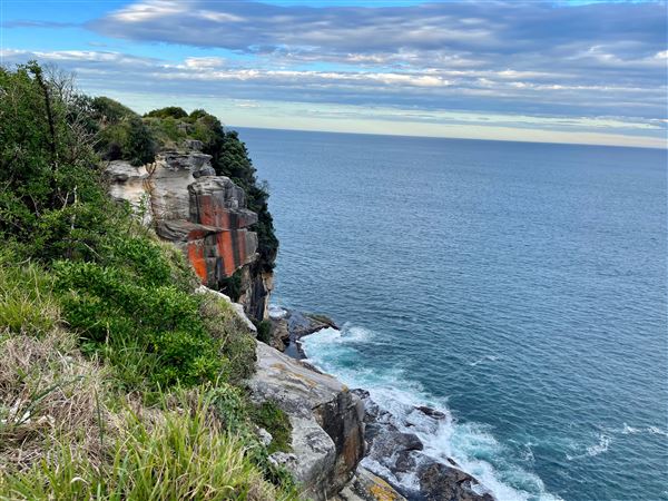 Dover Heights - Coastline @ Raleigh & Rodney Reserves - Late afternoon. (15/04/2021 - Credits: Cheryl Conway)