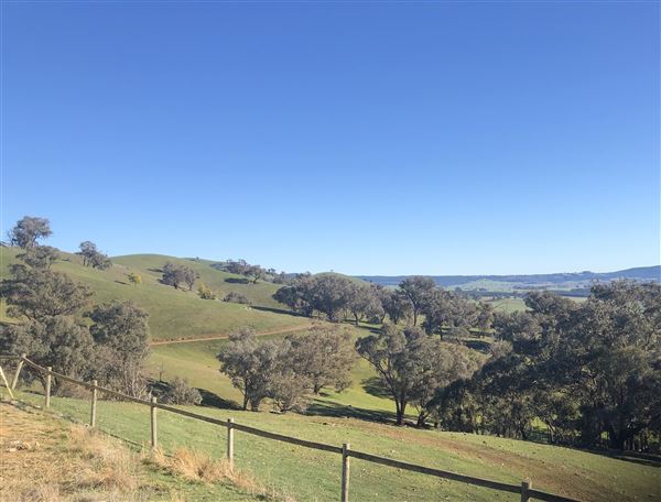 Private Property - Tumbarumba, NSW (1/06/2020 - Credits: Derek Smith)