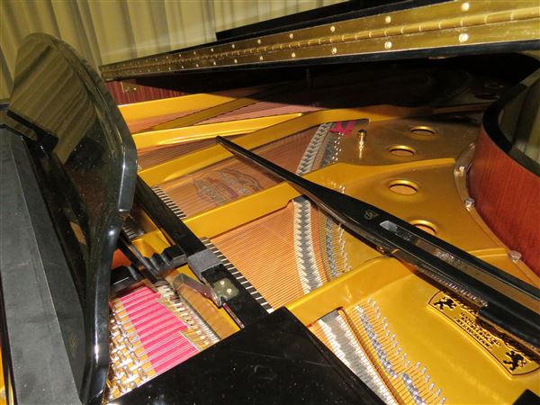 2MBS Fine Music Sydney: Founders' Studio (4/08/2021 - Credits: Hamish Mathers-Jones)