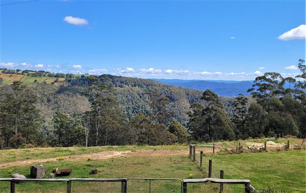 Stella Vista Farm (22/09/2021 - Credits: Tim and Georgia Connell)