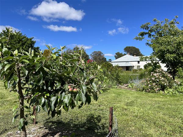 Riversdale Homestead (15/11/2021 - Credits: Nicole Taylor)