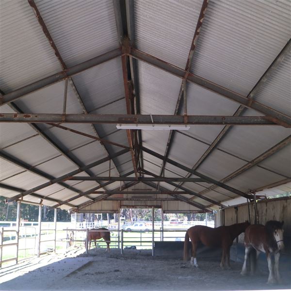 Darkes Forest Ranch (17/11/2022)