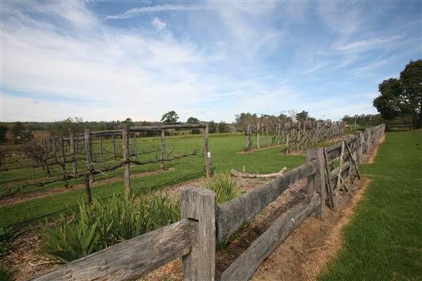 Belgenny Farm (15/03/2016)
