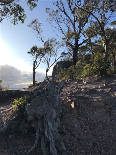 Hargraves Lookout (17/05/2023 - Credits: Julie Miller)