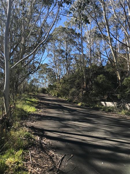 The Gully Aboriginal Place (24/05/2023 - Credits: BMCC)