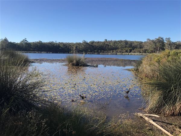 Glenbrook Lagoon (24/05/2023 - Credits: BMCC)