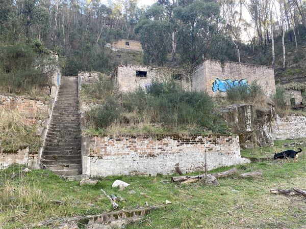 Birdsong Bower - Disused Coal Mine (1/05/2023 - Credits: Brooke Lazarevic)