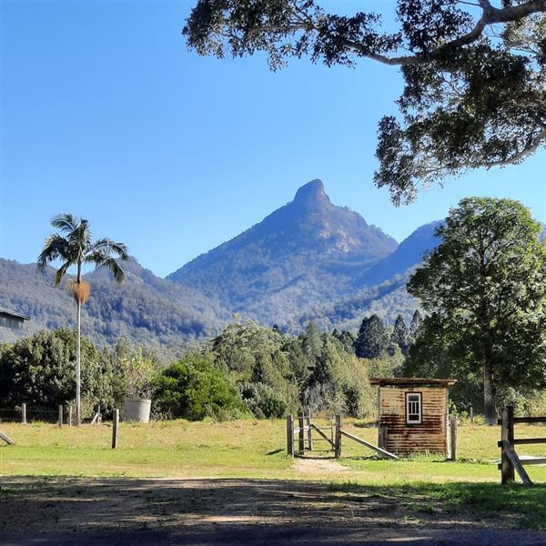 Mt Warning Estate (12/09/2023 - Credits: Graham Dietrich)