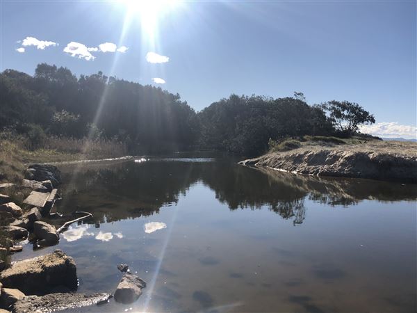 Nambucca Heads Swimming Creek (9/10/2020 - Credits: Shannon Wheeler)