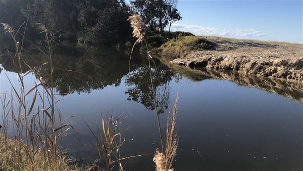 Nambucca Heads Swimming Creek (9/10/2020 - Credits: Shannon Wheeler)