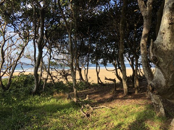 Nambucca Heads Swimming Creek (9/10/2020 - Credits: Shannon Wheeler)